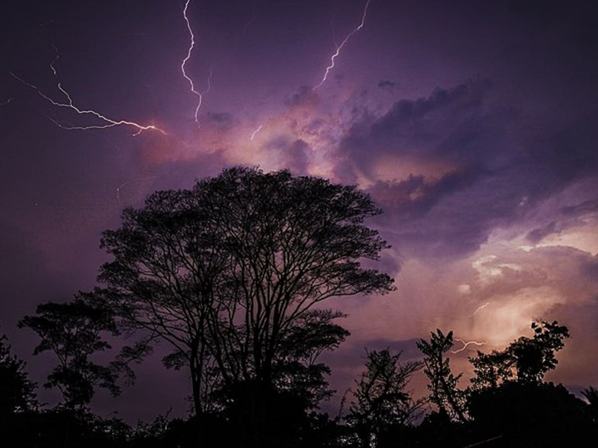 How to survive during lightning storm, OMG, Amazing News, Shocking News, wet head, thunder storm, lightning strike,