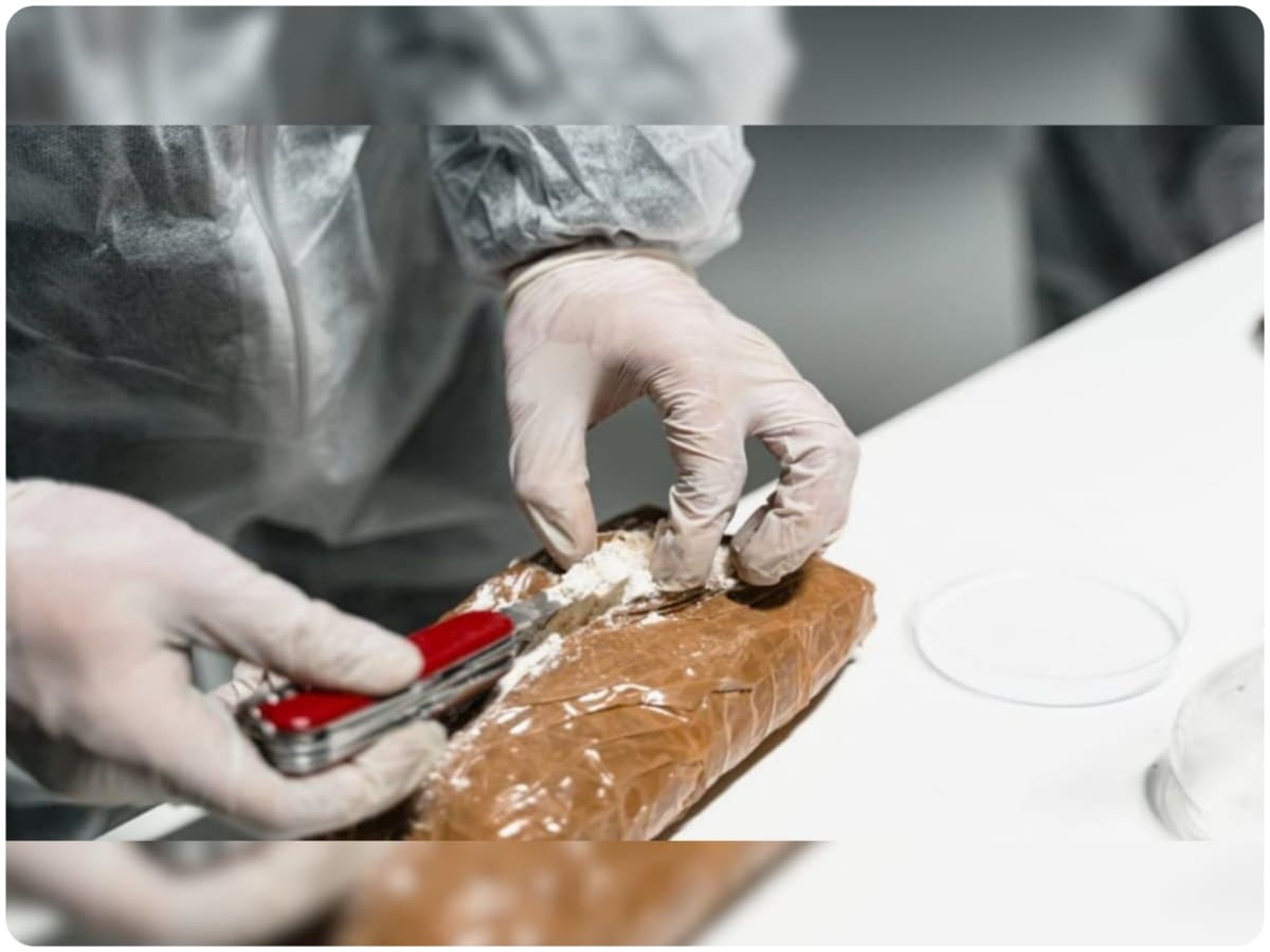 Strange Sounds, Knocking Sound, Meow Meow, Fertilizer, Fertilizer became drug, Meow Meow banned, Meow Meow caught in India, Meow Mow made from fertilizer, Delhi Police, Pune Police, Mumbai Police, Narcotics Department Delhi, mephedrone, cocaine, heroin, alcoholic substance