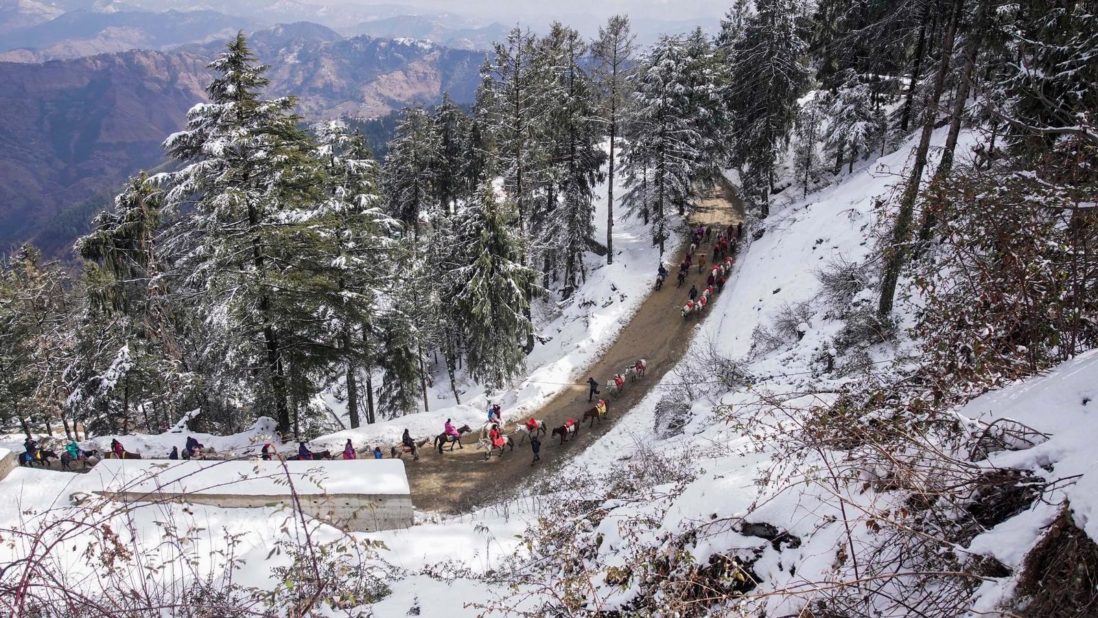 Snowfall Today: हिमाचल में बर्फबारी थमने के बाद अब 'कोल्ड अटैक', -12.1 डिग्री तक लुढ़का पारा, शिमला मे 0 के करीब तापमान