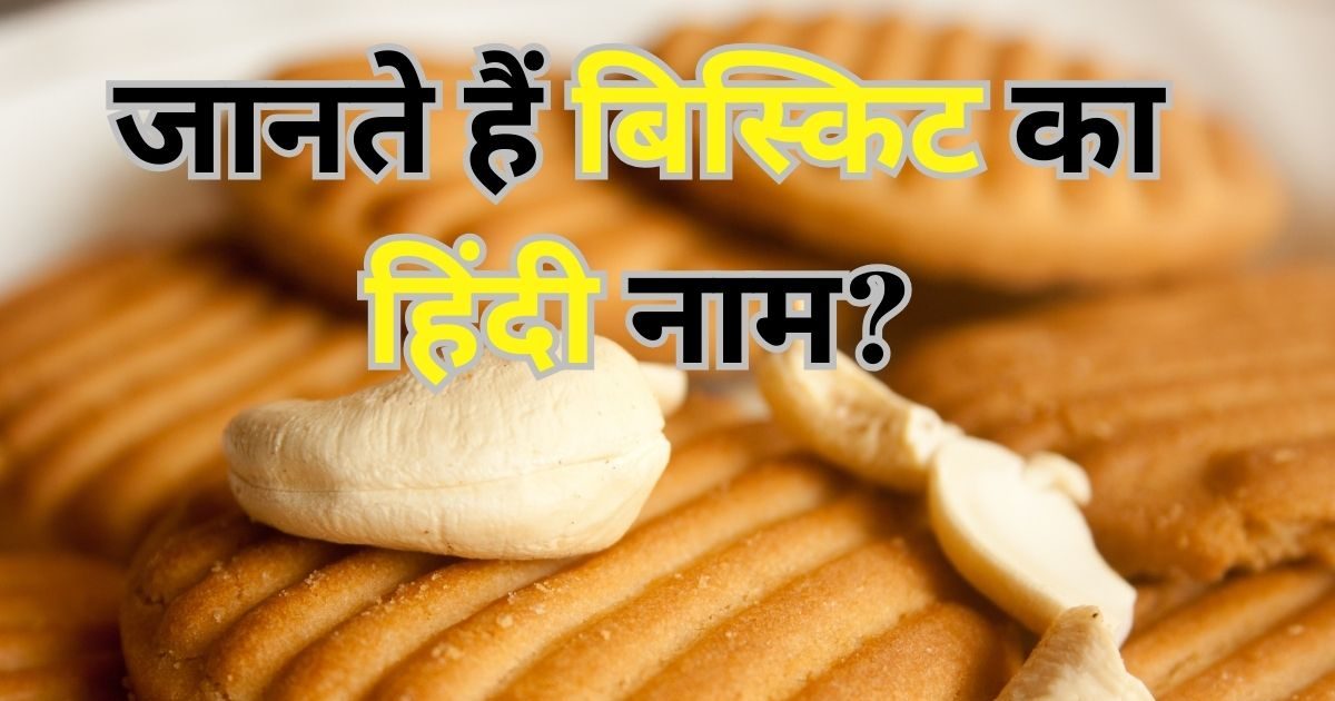 बिस्किट को हिंदी में क्या कहते हैं, कुकी और बिस्किट में है कोई फर्क? 99