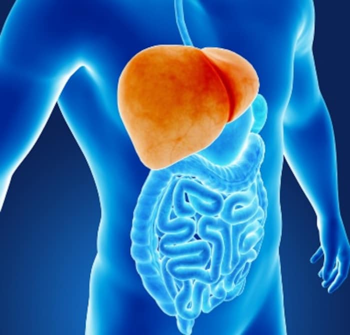 शरीर में दिखाई दें यह संकेत, तो समझ लें लीवर में है परेशानी 4 Canva