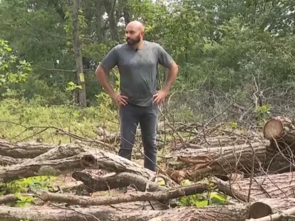man cut 32 trees 