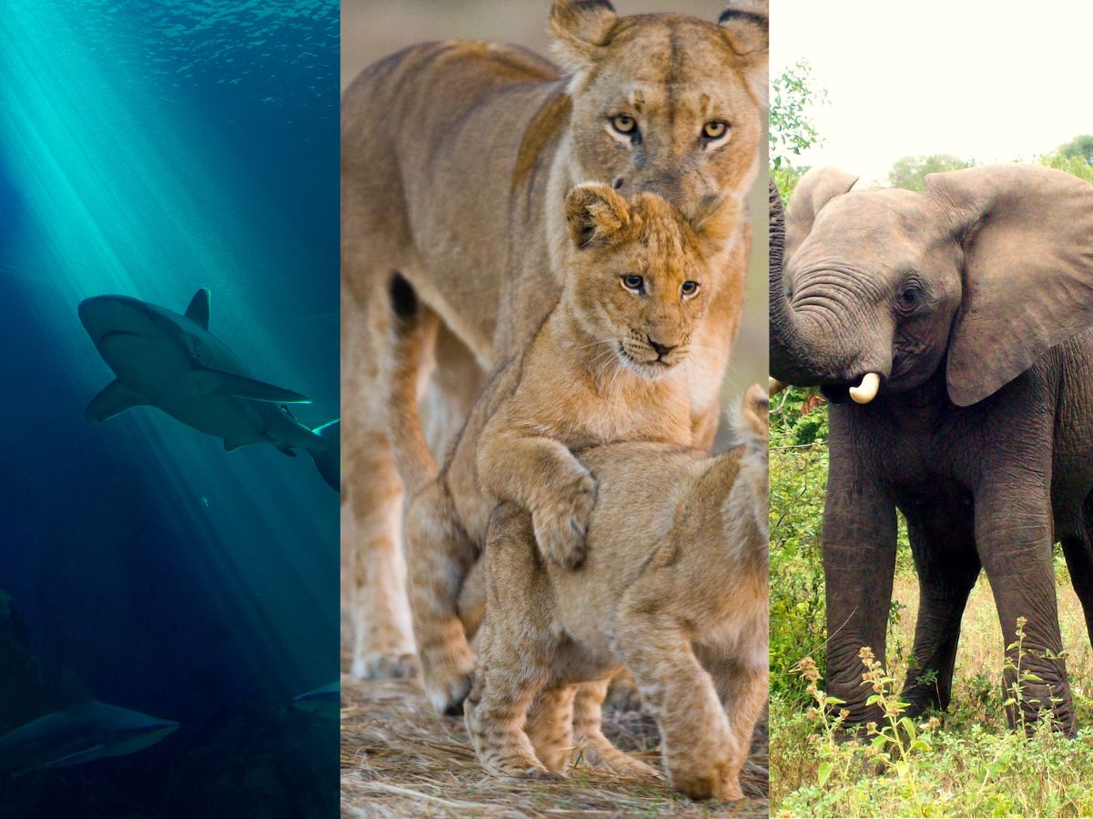 man face 7 near death experience