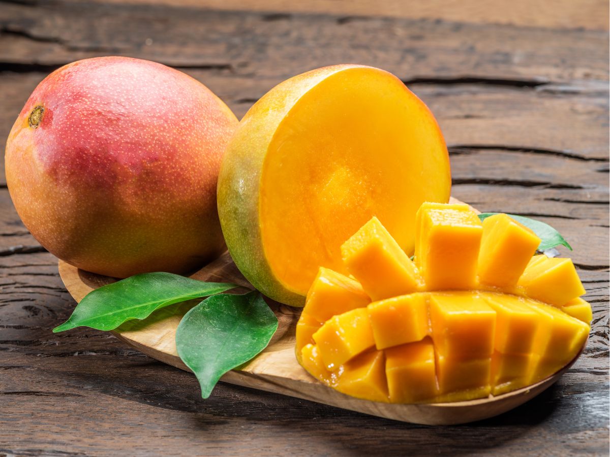 Indore Market Mango Entry Know rates