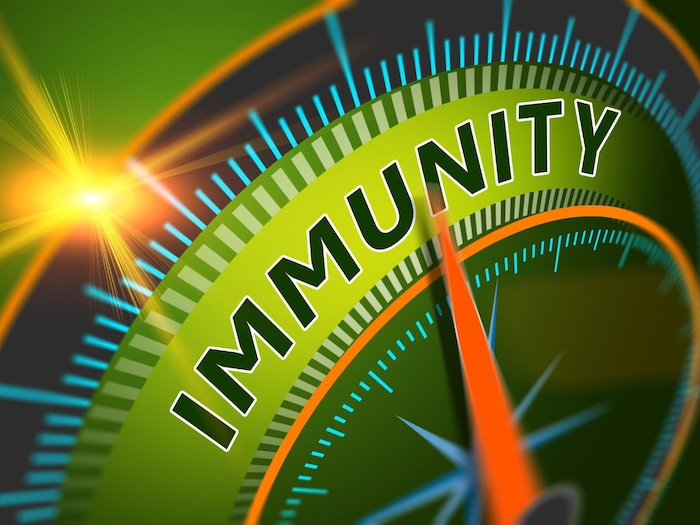 पाचन सुधारना है तो घर में मौजूद इस खड़े मसाले का करें प्रयोग, जल्द मिलेगी राहत 1 Canva