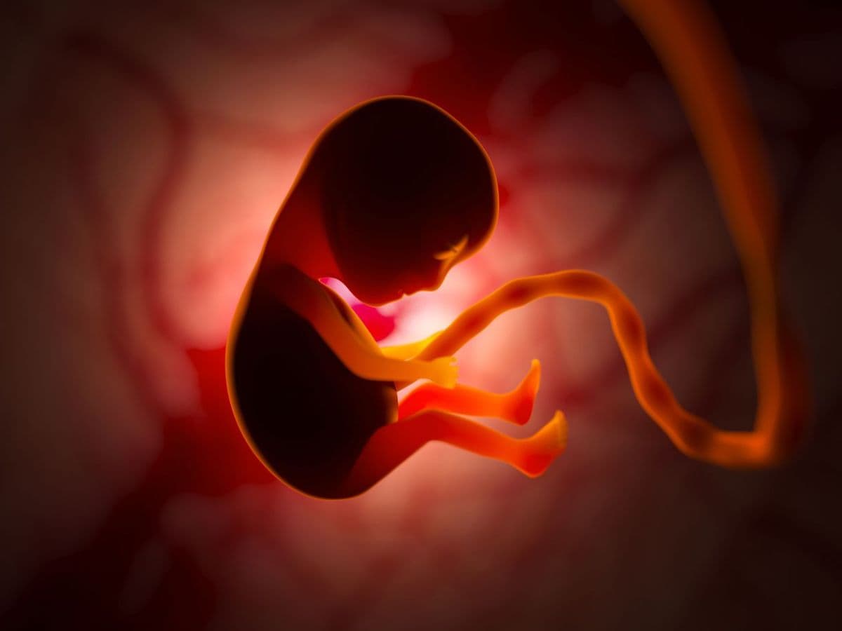 क्या है IVF तकनीक, जिसके जरिये प्रेग्नेंट हुईं सिद्धू मूसेवाला की मां? अगले  महीने देंगी बच्चे को जन्म - sidhu moosewala mother pregnancy through ivf  explained – News18 ...