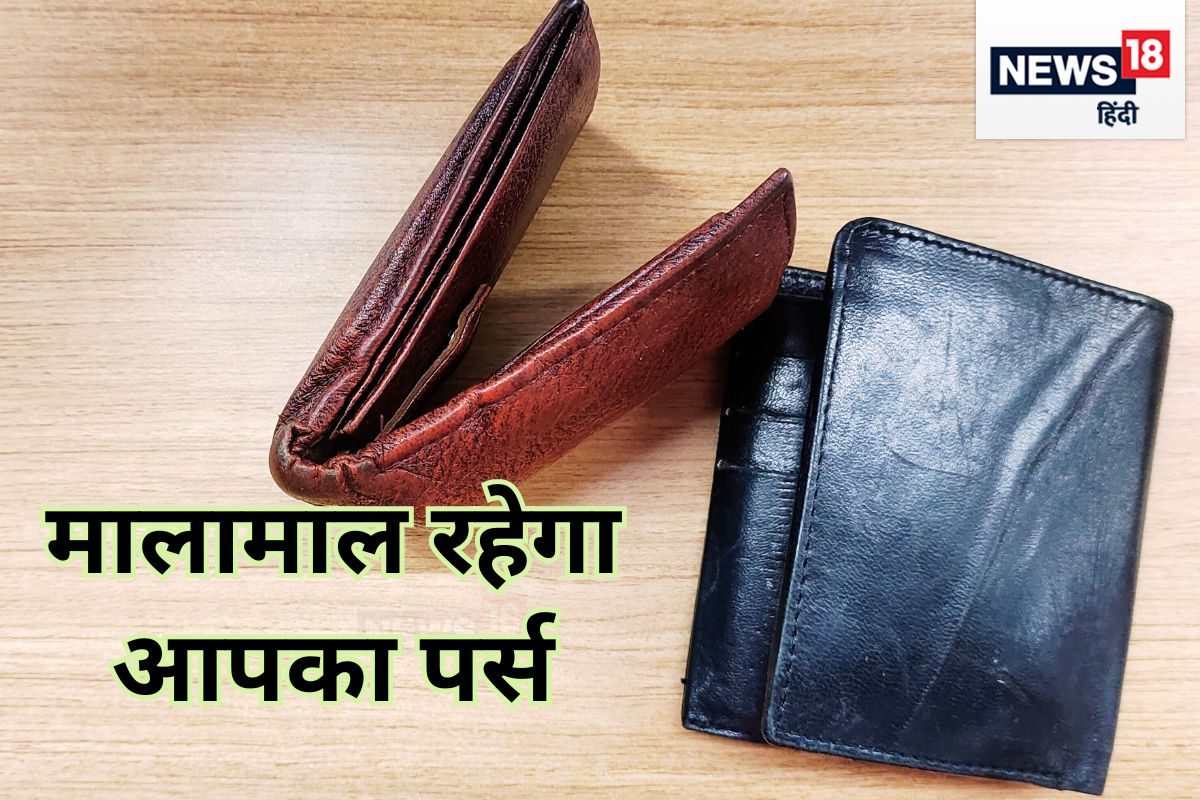 What To Put On Womens Wallet To Increase Money - Amar Ujala Hindi News Live  - महिलाएं इन 5 चीजों में से कोई भी एक चीज पर्स में रखेंगी तो बरसेगी मां