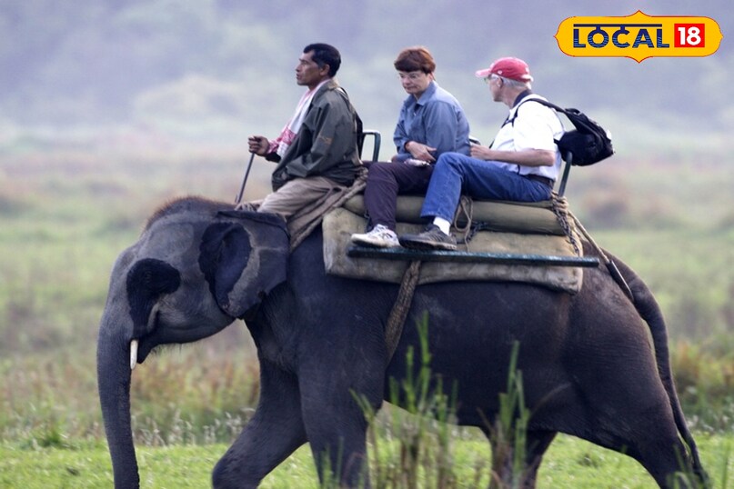 Jim Corbett National park 