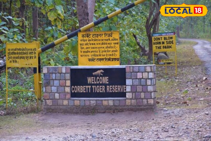 Corbett National park 