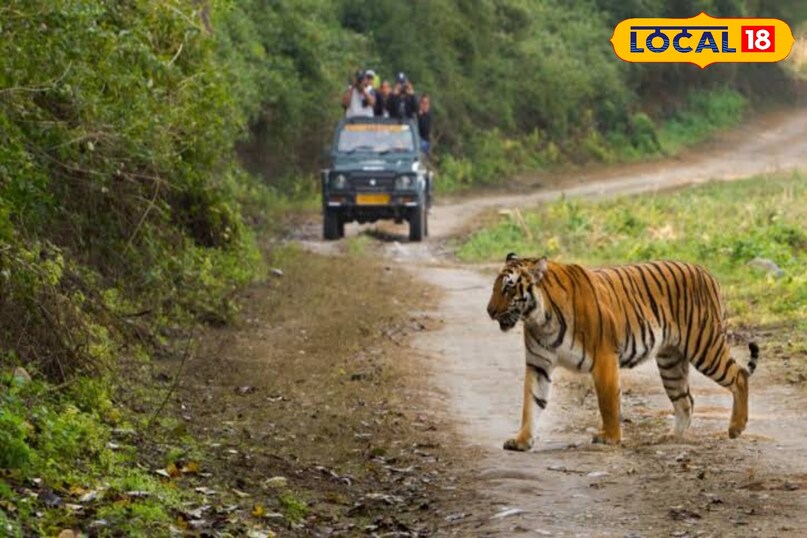 Jim Corbett National park 