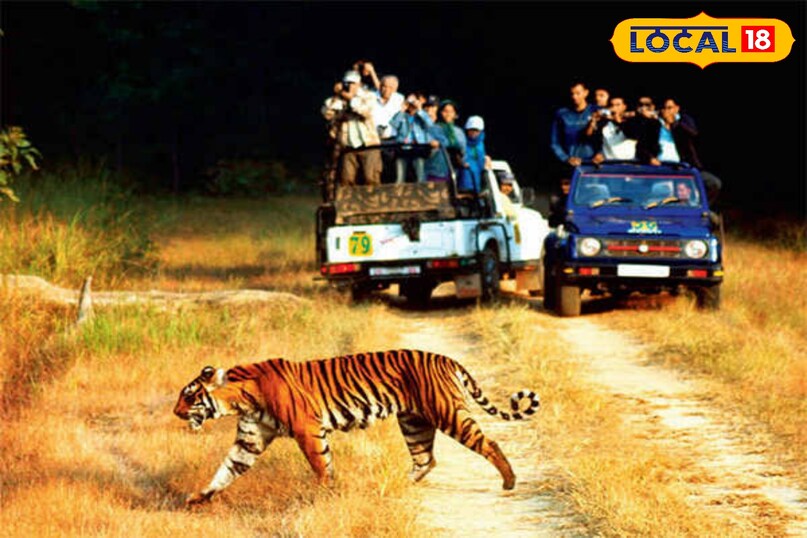 Jim Corbett National park 