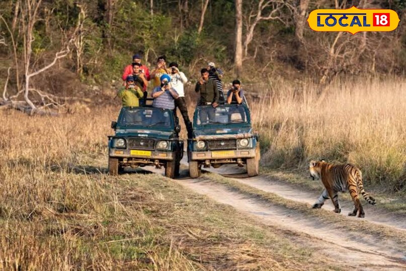 Jim Corbett National Park 