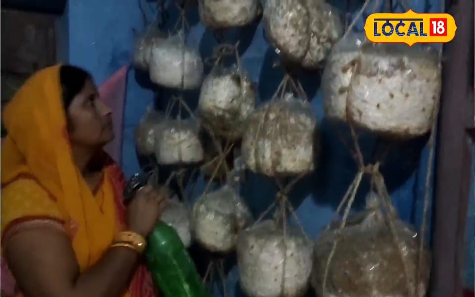 बिहार की महिला का देसी जुगाड़: बेडरूम से मशरूम बिजनेस, हर महीने मोटी कमाई!
