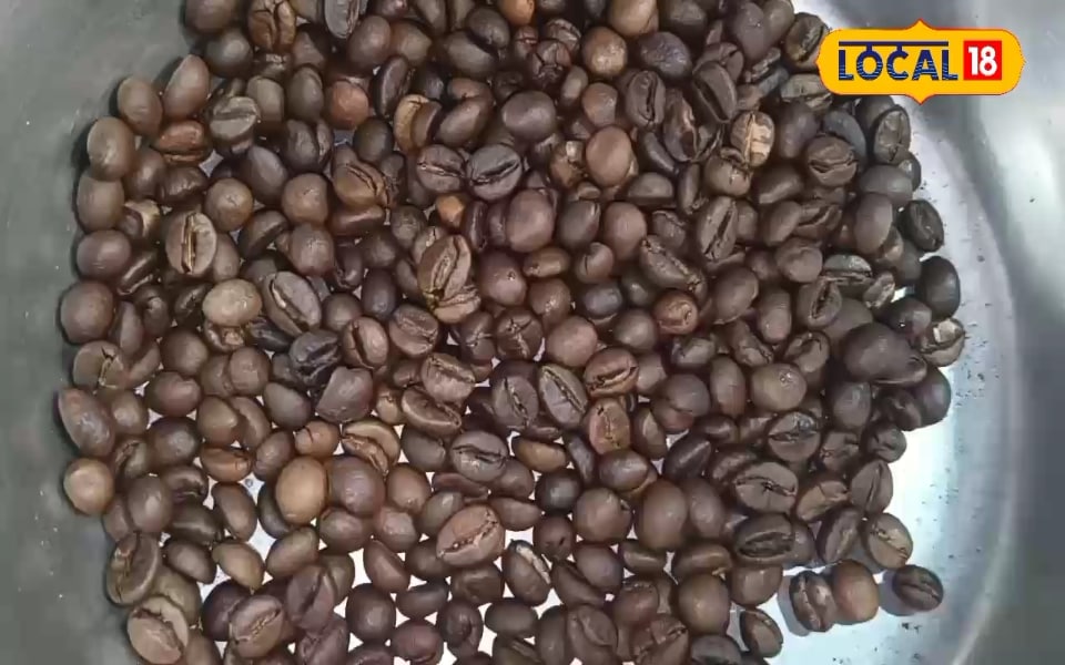 Controls sugar level, reduces cholesterol, black coffee beans are a