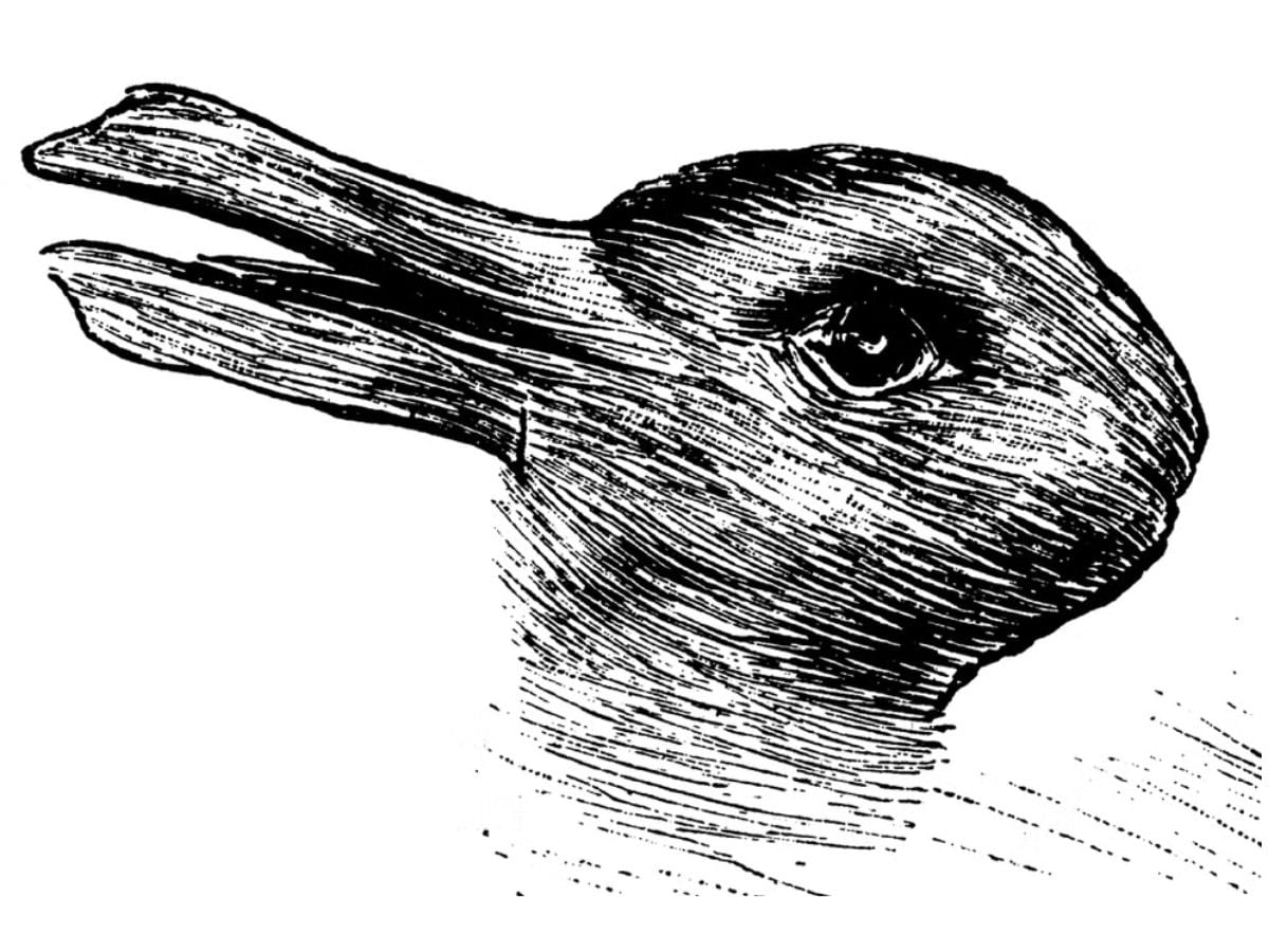 Optical Illusion, Duck or rabbit? The 100-year-old optical illusion, can you spot duck, spot a Duck or rabbit, spot a rabbit, spot a duck or rabbit within 9 seconds, optical illusion challenge, optical illusion, viral puzzle, trending puzzle, OMG, Amazing News, Shocking News
