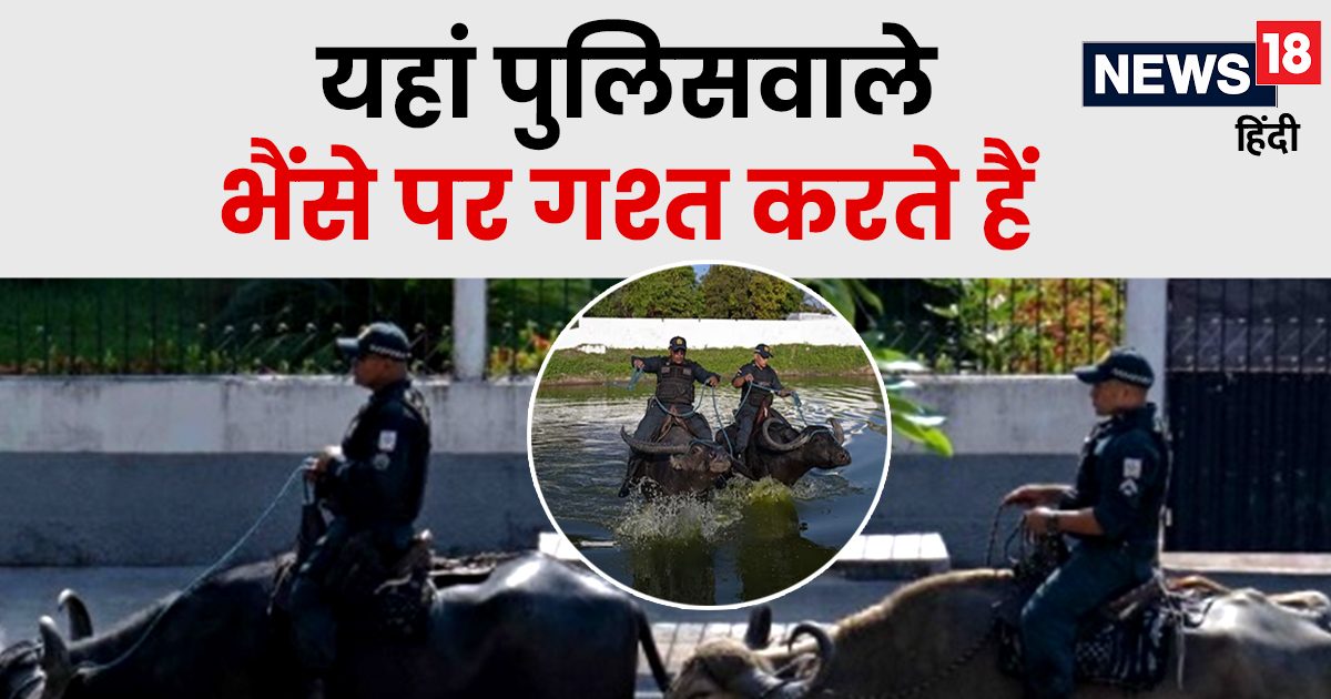 There is no Yamraj on the buffalo, policemen come, if any mistake can become 'Kaal'
