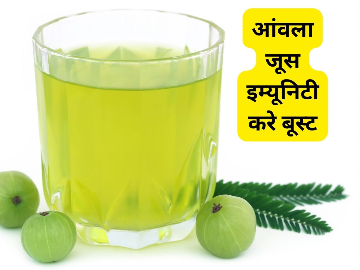 Amla juice 2024 benefits in hindi