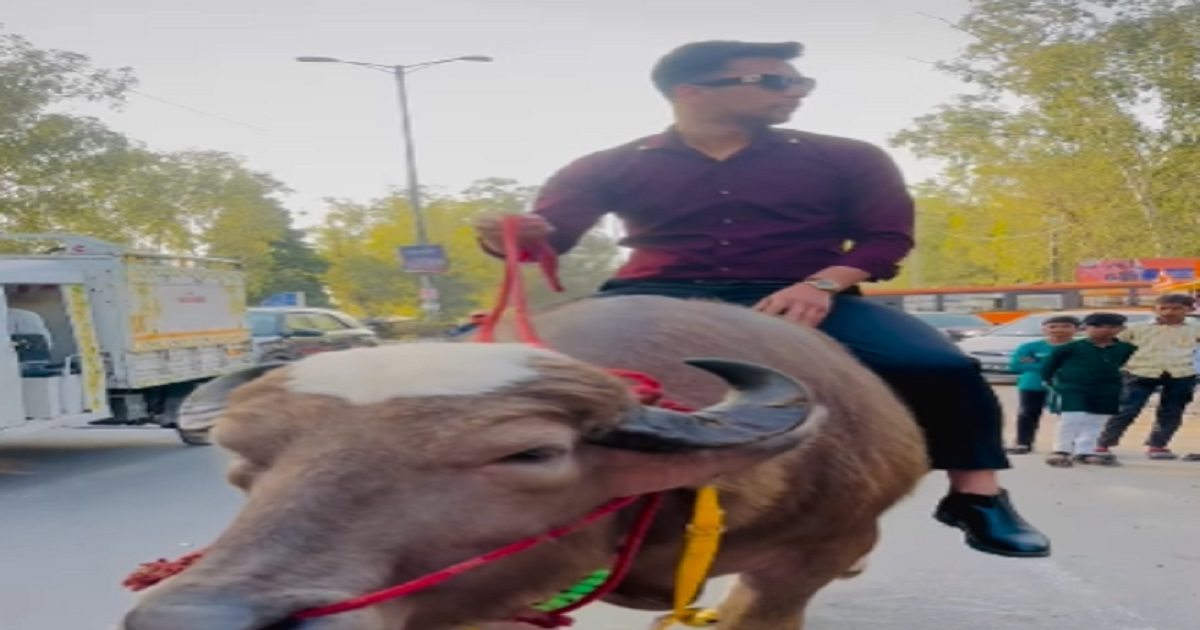Baba Rakha Rider बड़ी अनोखी है शख्स की 'कार', ना लगता है पेट्रोल, ना भरवाता है डीजल ...
