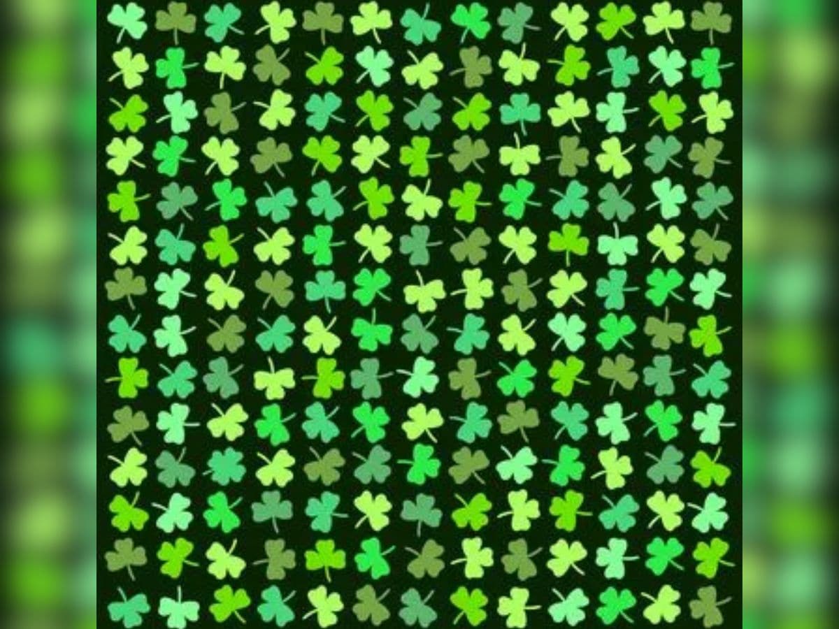 Can you spot an four leaf clover, spot four leaf clover, spot four leaf clover in this picture, spot an odd leaf in this picture within 7 seconds, optical illusion challenge, optical illusion