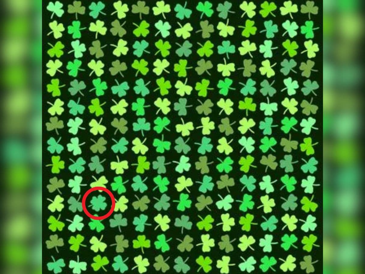 Can you spot an four leaf clover, spot four leaf clover, spot four leaf clover in this picture, spot an odd leaf in this picture within 7 seconds, optical illusion challenge, optical illusion