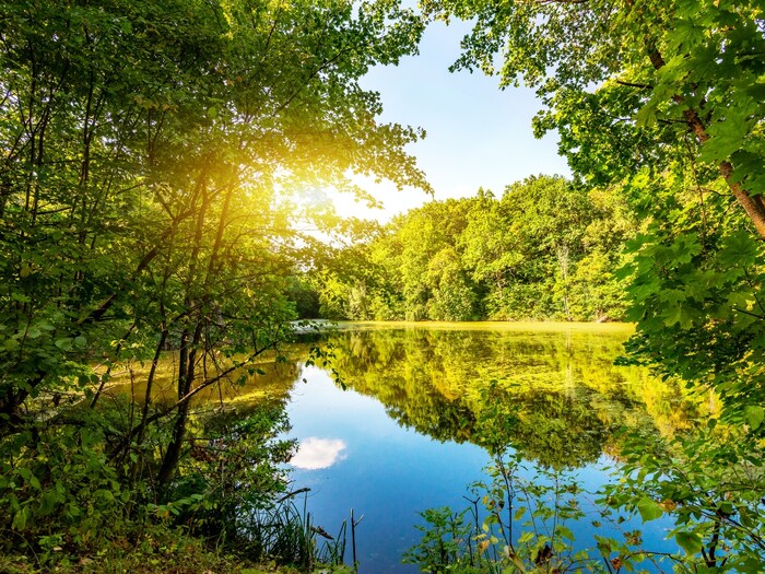 धुप से विटामिन D लेने का यह है सबसे बेस्ट टाइम, देखें 4 News18