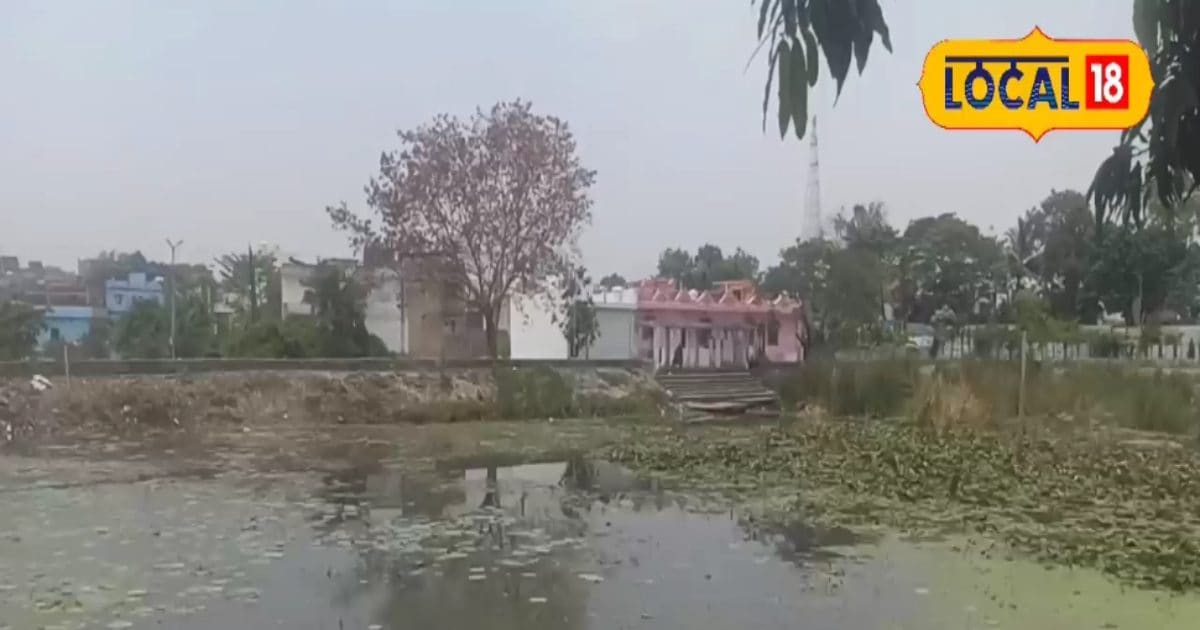 मैं बहुत दुखी हूं, जीवनदान दीजिए…दयनीय स्थिति में था ये तालाब, ग्रामीणों ने उठाया सफाई की जिम्मा