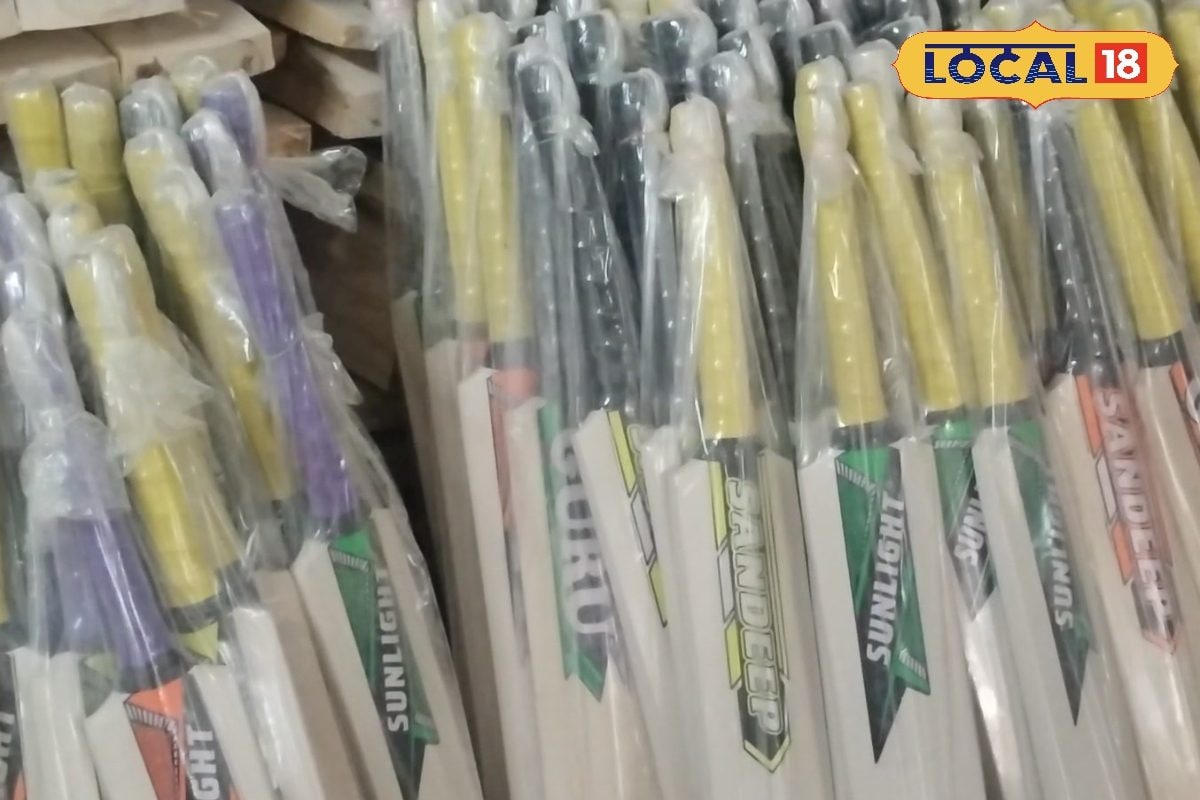 महिलाओं के क्रिकेट बैट पुरुषों से होते हैं अलग, क्या आपको पता है अंतर?