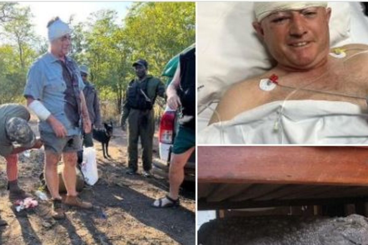 डॉगी ने अपनी जान की बाजी लगाकर तेंदुए से बचाई क्रिकेटर की जान