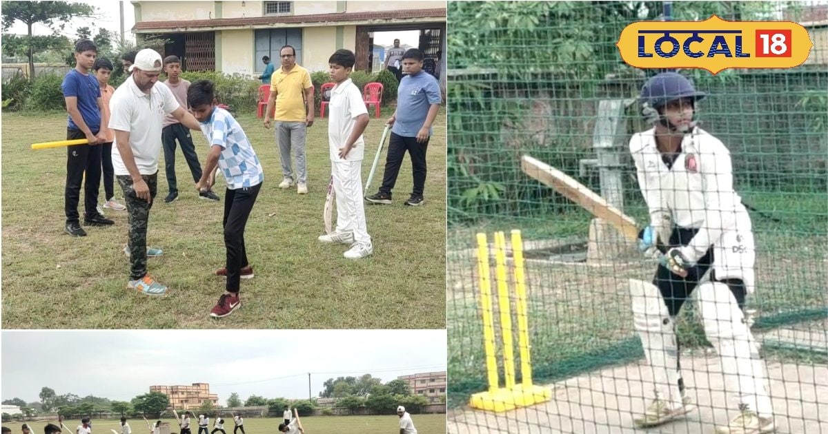 Good news for cricket lovers…summer camp organized in Chhattisgarh, application will be absolutely free