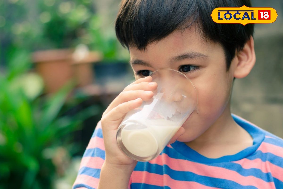दूध नहीं पीते बच्चे तो दें आयुर्वेद का ये सुपर फूड चाणक्य जैसा हो जाएगा दिमाग