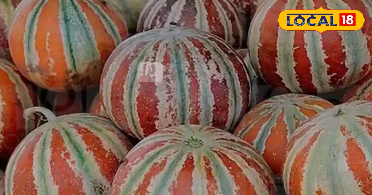 आप भी पानी पीने में करते हैं आलस….तो डाइट में शामिल करें ये चीज, जानें