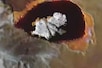 चांद पर फटा ज्‍वालामुखी, लार्वा के बीच दिखी ऐसी चीज, NASA ने जारी की तस्‍वीर