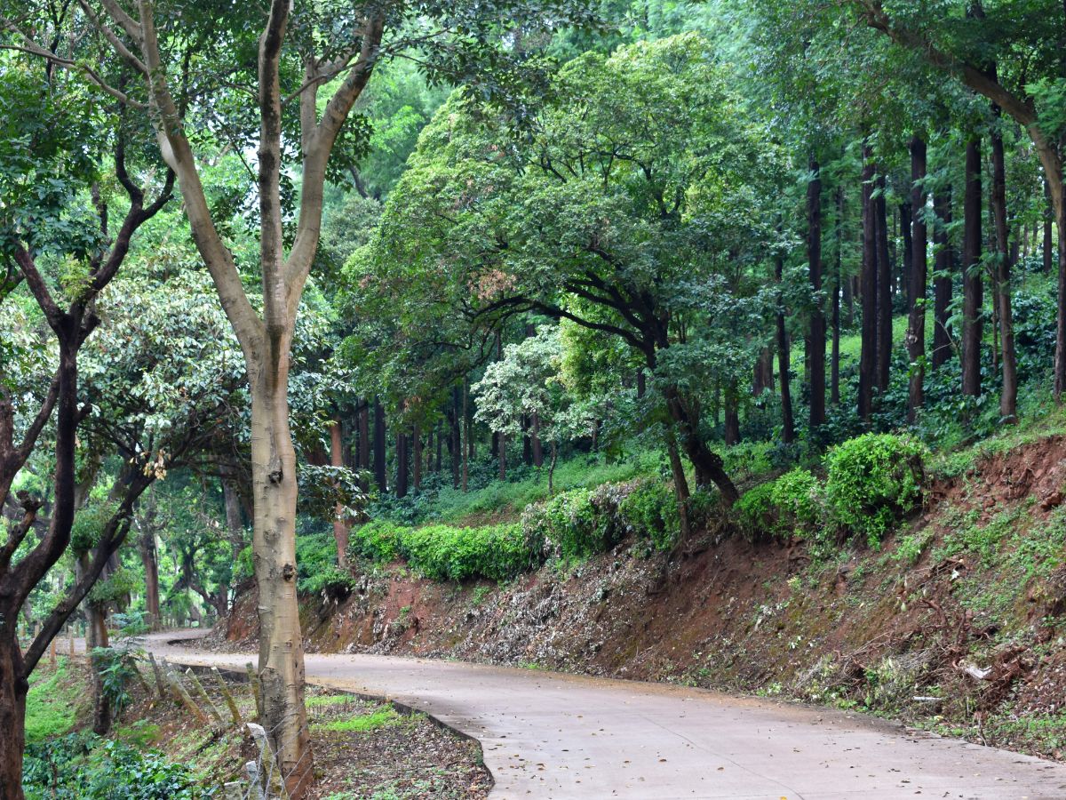 Kemmangundi, Karnataka