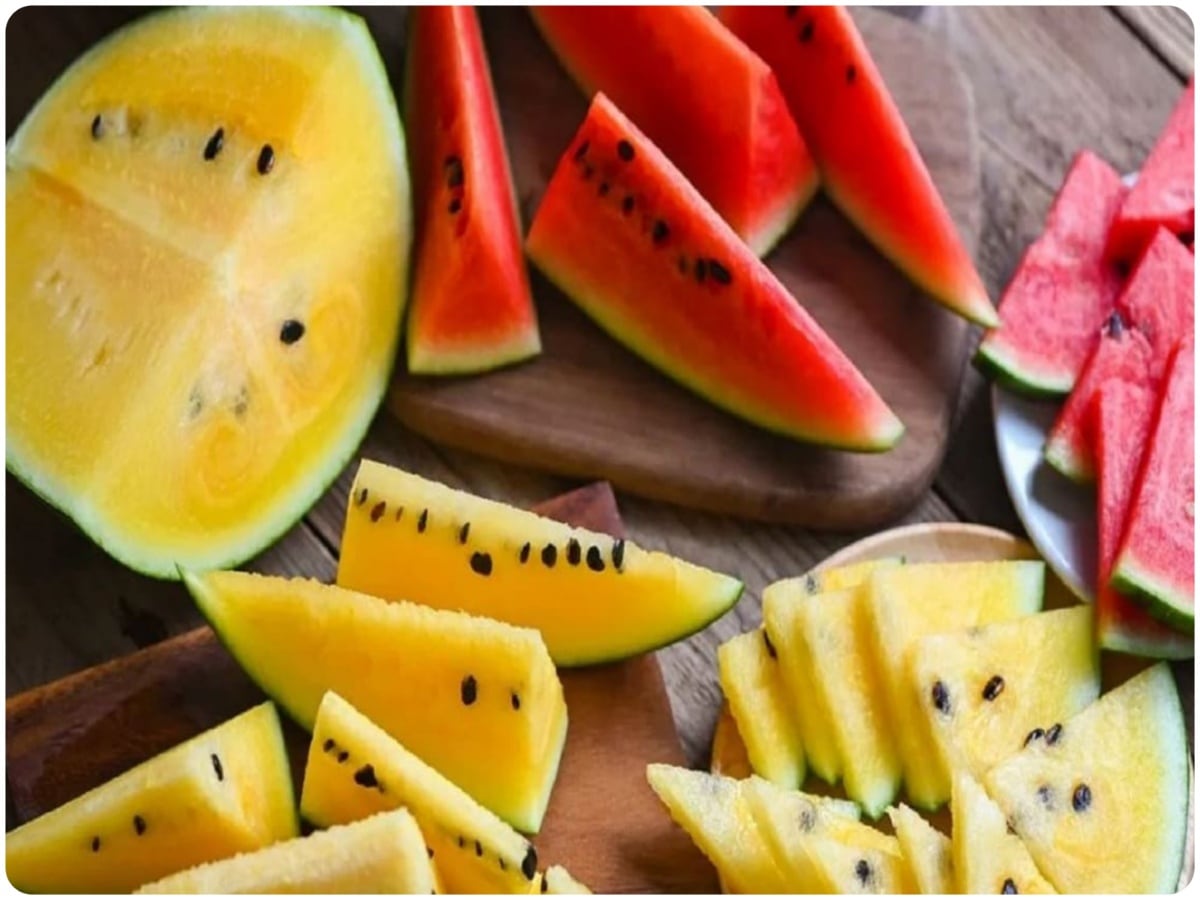 superfruit watermelon, Yellow Watermelon, Red Watermelon, Origin of Watermelon, in which country watermelon cultivation started, Watermelon, Fruits, Chemicals, Health Benefits of Yellow watermelon, Benefits of Red watermelon, muskmelon, Mango, Banana, Indian Watermelon, South African Watermelon, dessert king, Markets of Watermelon