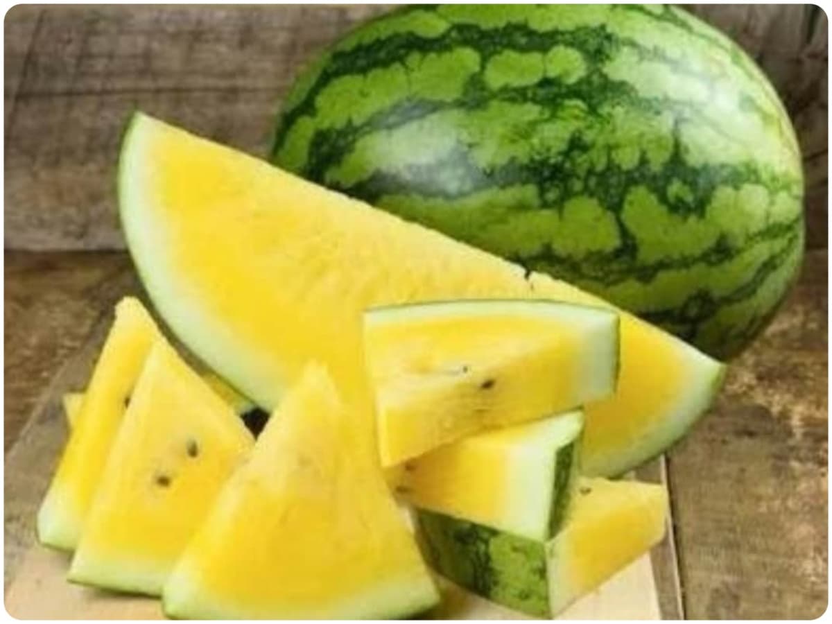 superfruit watermelon, Yellow Watermelon, Red Watermelon, Origin of Watermelon, in which country watermelon cultivation started, Watermelon, Fruits, Chemicals, Health Benefits of Yellow watermelon, Benefits of Red watermelon, muskmelon, Mango, Banana, Indian Watermelon, South African Watermelon, dessert king, Markets of Watermelon