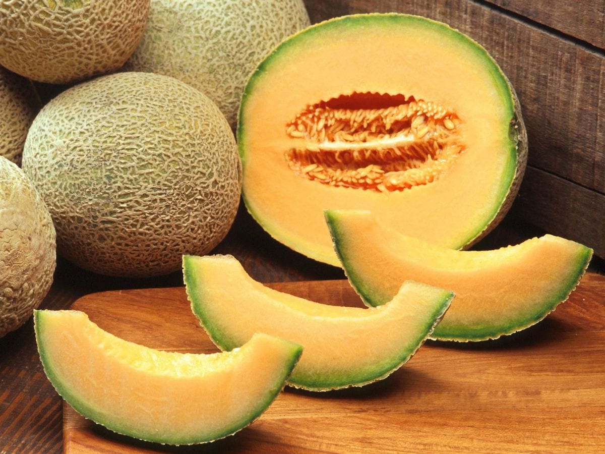Watermelon And Musk Melon Health Benefits