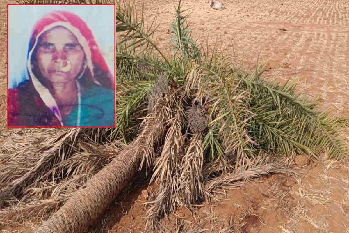 राजस्थान में बिगड़े मौसम की बेरहमी महिला पर गिरा खजूर का पेड़ ले बैठा जान