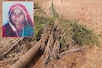 राजस्थान में बिगड़े मौसम की बेरहमी, महिला पर गिरा खजूर का पेड़, ले बैठा जान