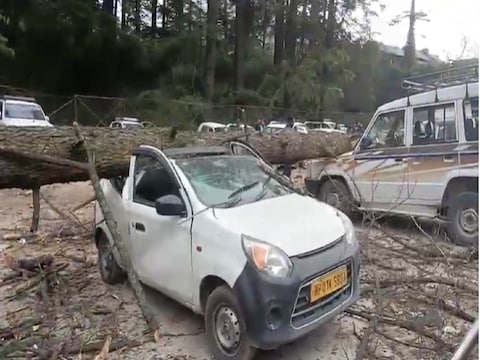 पेड़ के गिरने से भूतनाथ मंदिर के समीप सड़क किनारे खड़ी 9 गाड़ियां बुरी तरह से क्षतिग्रस्त हुई है.