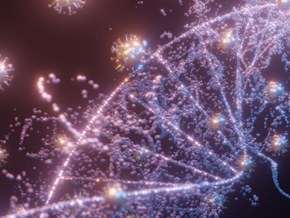 New pandemic in world, Pandemic, avian virus, virus dangerous than Covid -19, OMG, Amazing News, Shocking News,