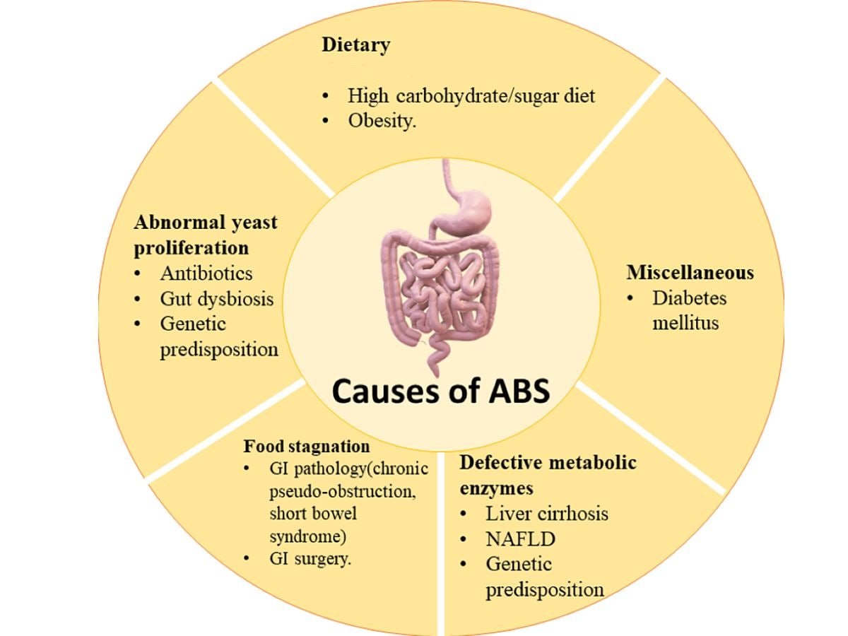 ट्रैफिक पुलिस ने शराब के नशे में गाड़ी चलाते पकड़ा, मेडिकल जांच की