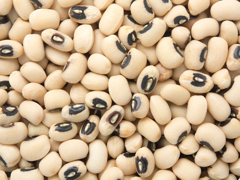 health benefits of lobia, lobia dal health benefits, Lobia dal benefits for male, Lobia dal benefits for female, lobia benefits and side effects, Lobia dal benefits for weight loss, lobia dal protein per 100g, red lobia benefits, is lobia high in protein, which lobia is good red or white, is lobia heavy or light, is lobia easy to digest, lobia dal big benefits