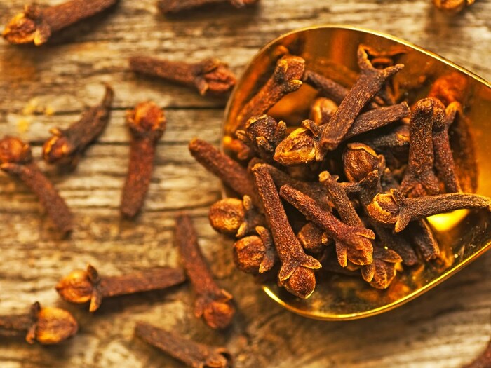 नवरात्र से पूर्व ही कर लें यह काम, सारी समस्या होंगी दूर 1 Canva