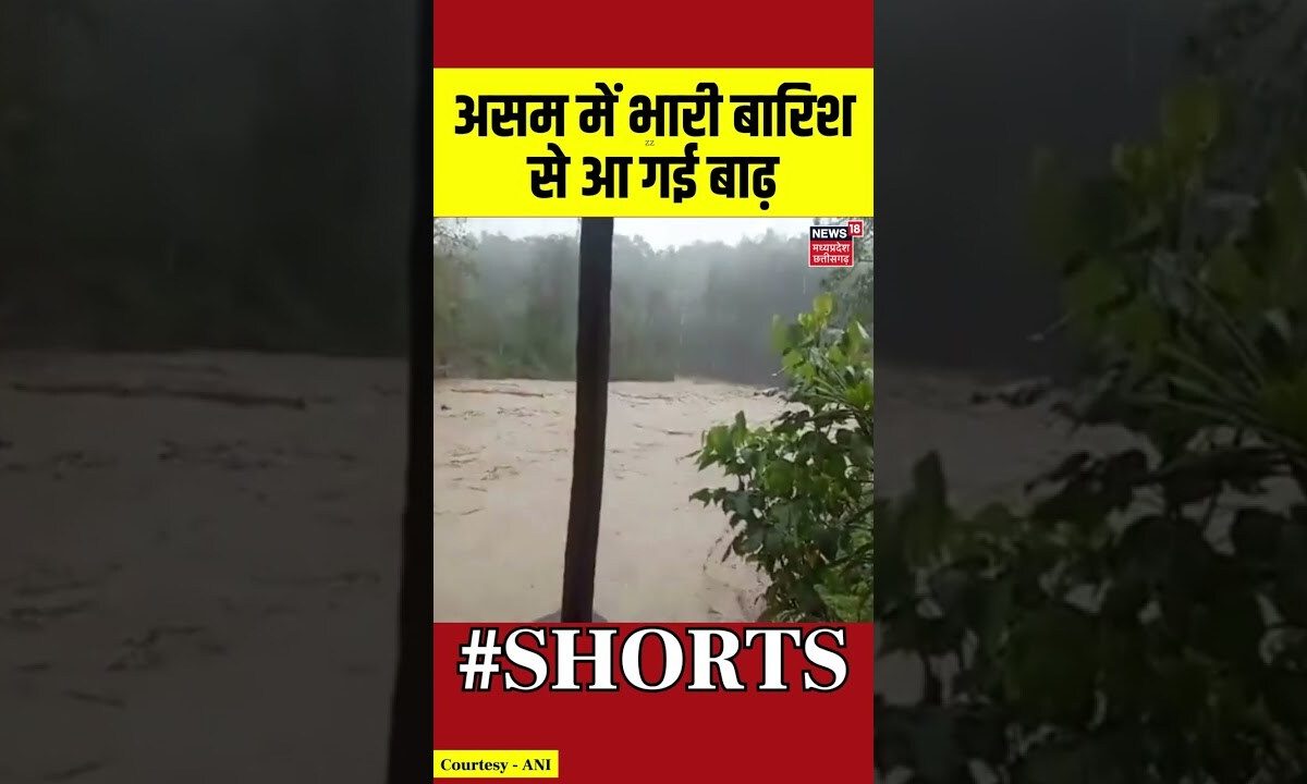 Assam Flood Video : असम में भारी बारिश से आ गई बाढ़ | #shorts