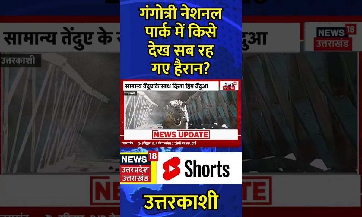 Uttarkashi News: Gangotri National Park में किसे देख सब रहगए हैरान? | #shorts #snowleopard