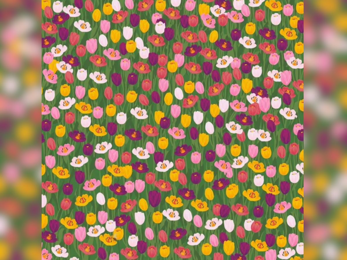 Can you find the hidden bee, find the hidden bee, find the hidden bee in under 10 seconds, find the hidden bee in the picture, optical illusion, optical illusion challenge