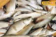 Fish Market: ये हैं मछली की सबसे बड़ी बाजार, सस्ते दाम के साथ मिलेंगी कई वैरायटी
