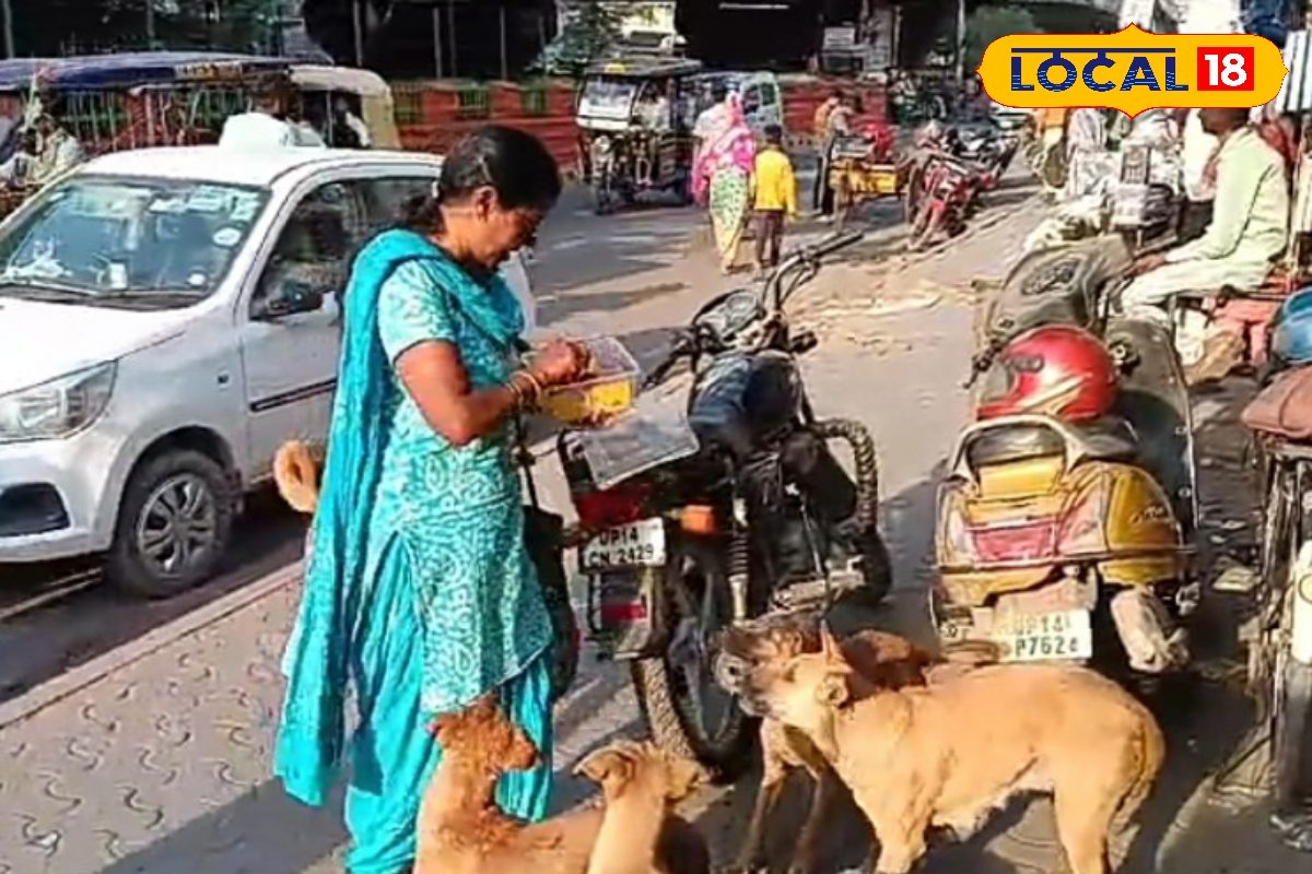 शाम होते ही इस महिला का इंतजार करने लगते हैं कुत्ते वजह है बहुत खास