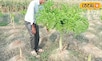 बिहार का यह किसान करता है देसी मटन की खेती, 23 सालों में मिले कई पुरस्कार...
