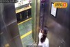 मासूम बच्ची को लिफ्ट में काटा...कुत्ते के मालिक की लापरवाही आई सामने, Video